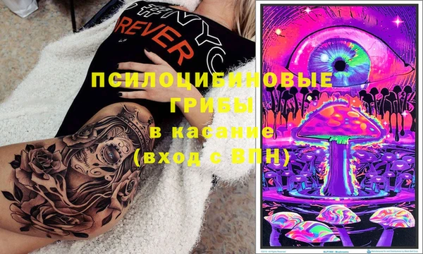 молекула духа Алексеевка